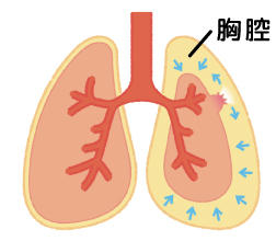 TakasaNews_201703.jpg