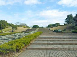 青葉の森公園